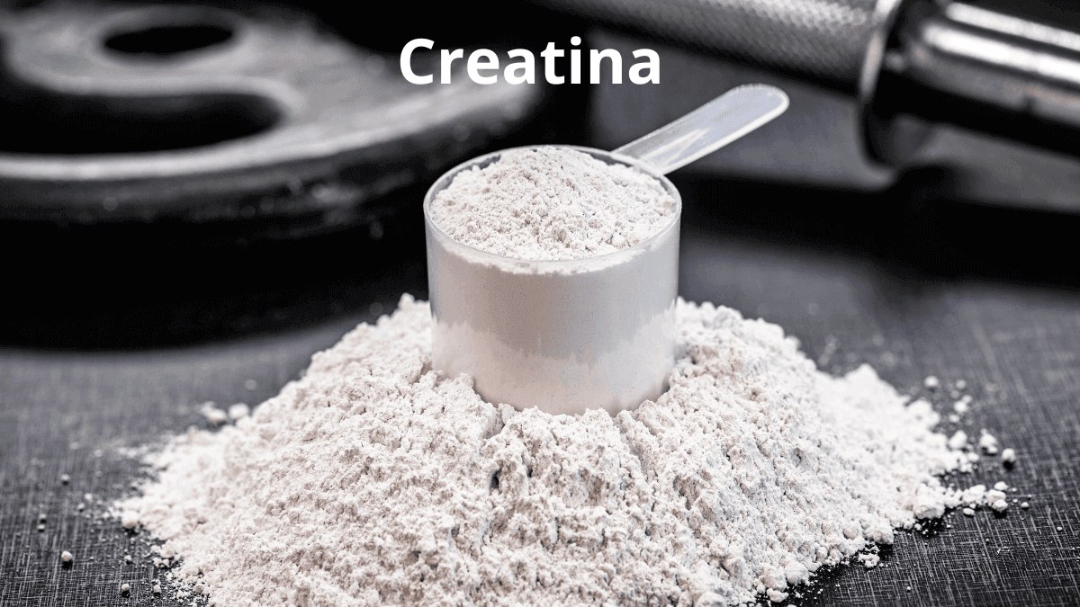 Creatinas Aprovadas pela Anvisa – Análise da Abenutri Revela Marcas de Creatina Aprovadas e Reprovadas no Brasil